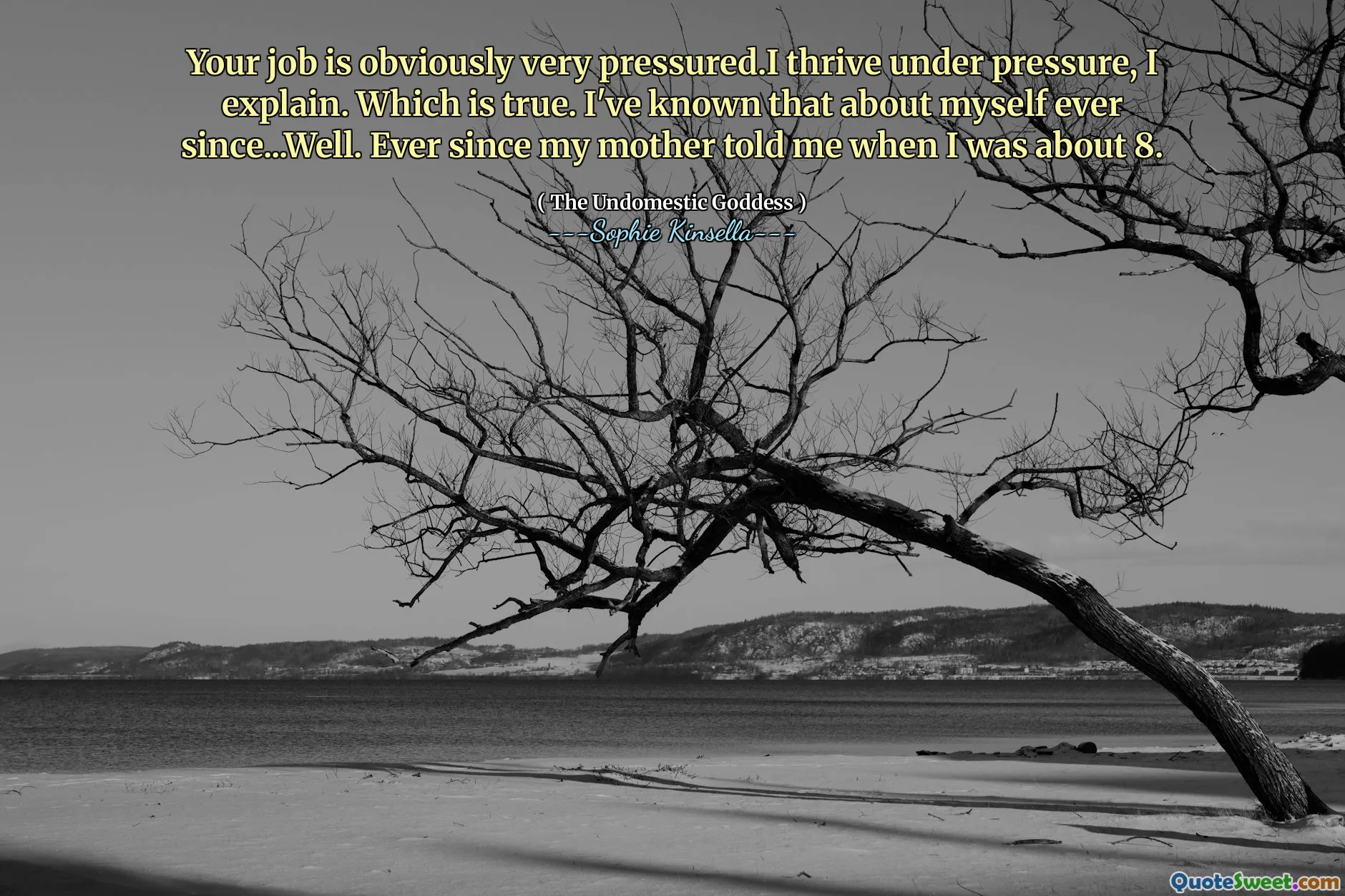Your job is obviously very pressured.I thrive under pressure, I explain. Which is true. I've known that about myself ever since...Well. Ever since my mother told me when I was about 8.