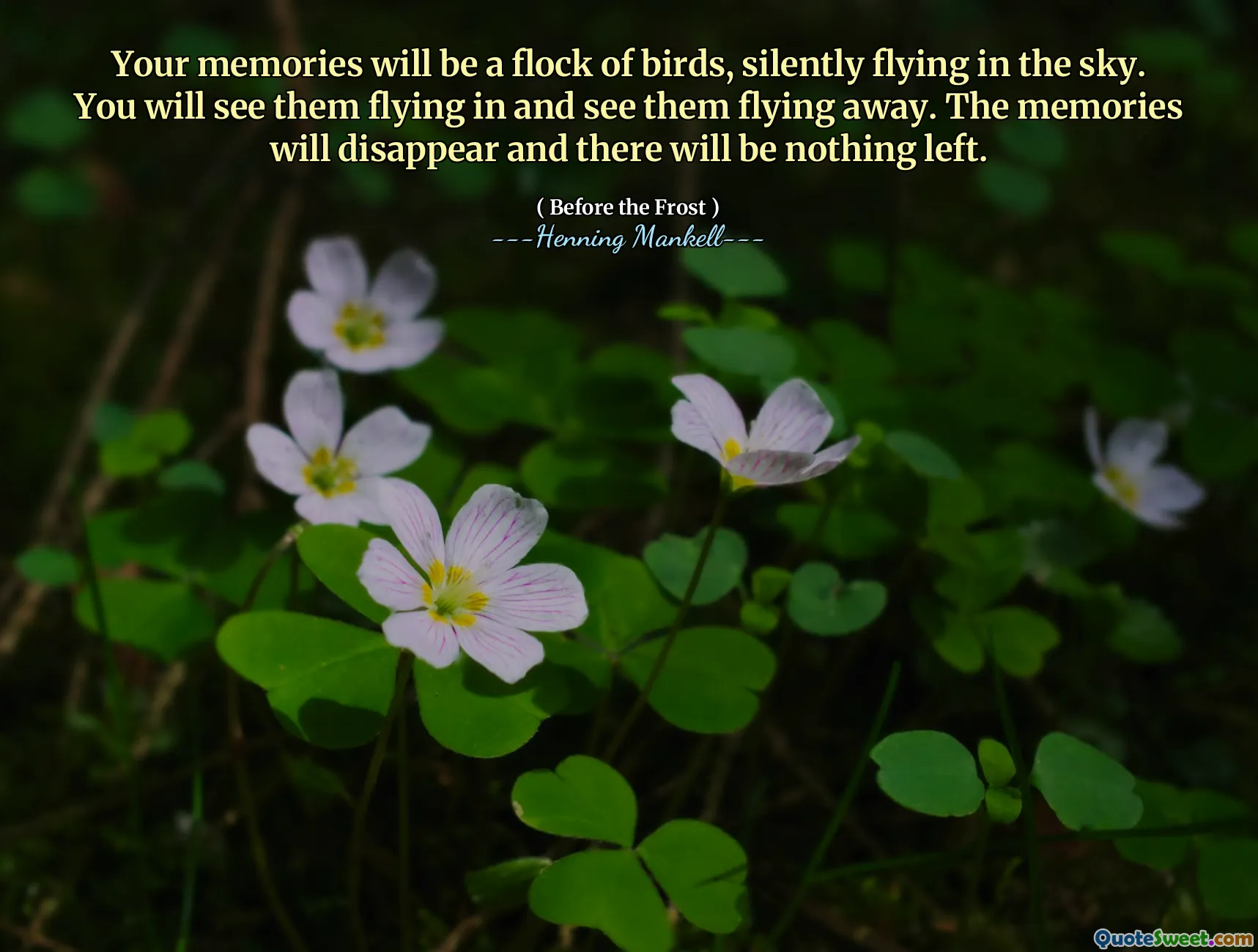 Your memories will be a flock of birds, silently flying in the sky. You will see them flying in and see them flying away. The memories will disappear and there will be nothing left.