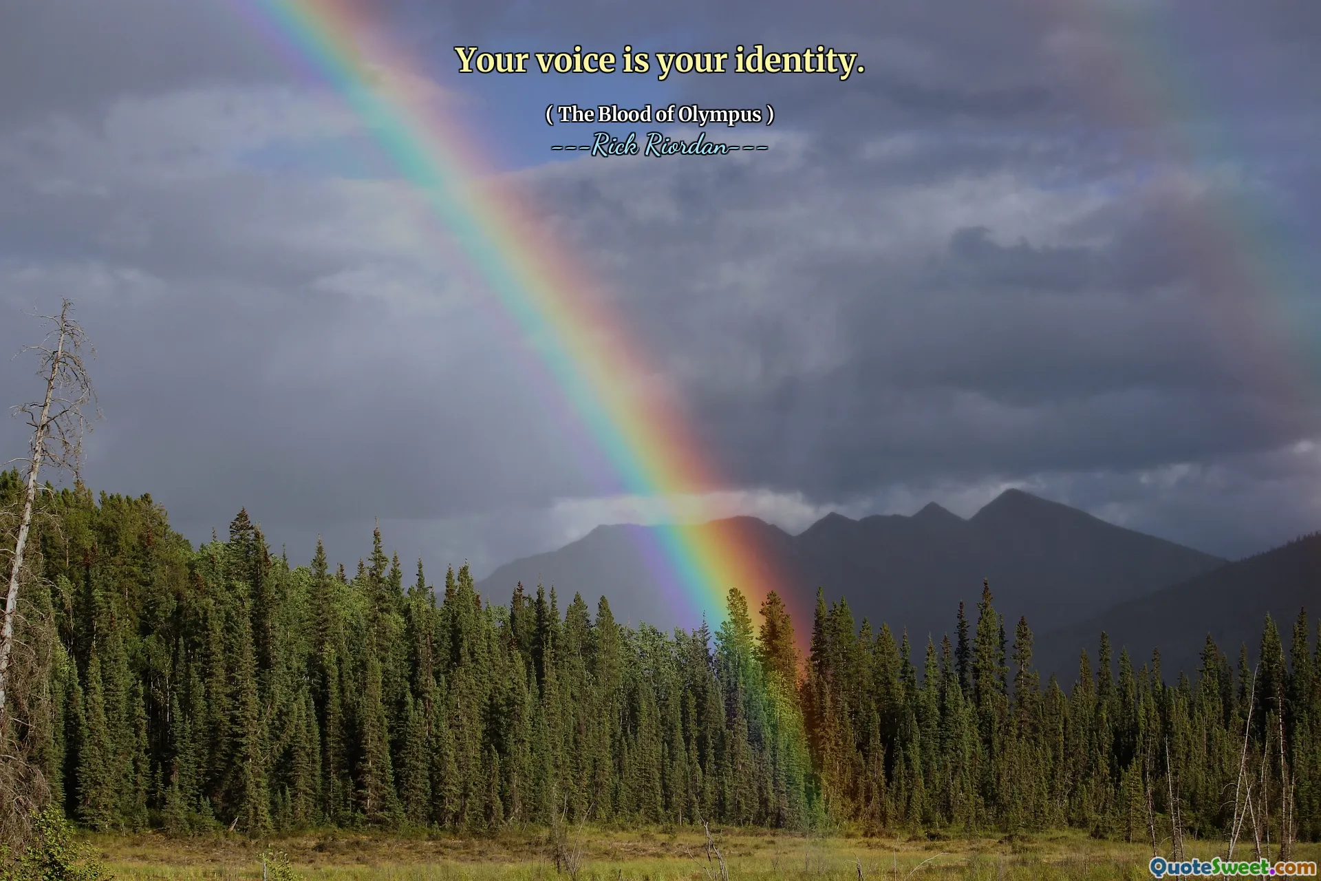 Your voice is your identity.