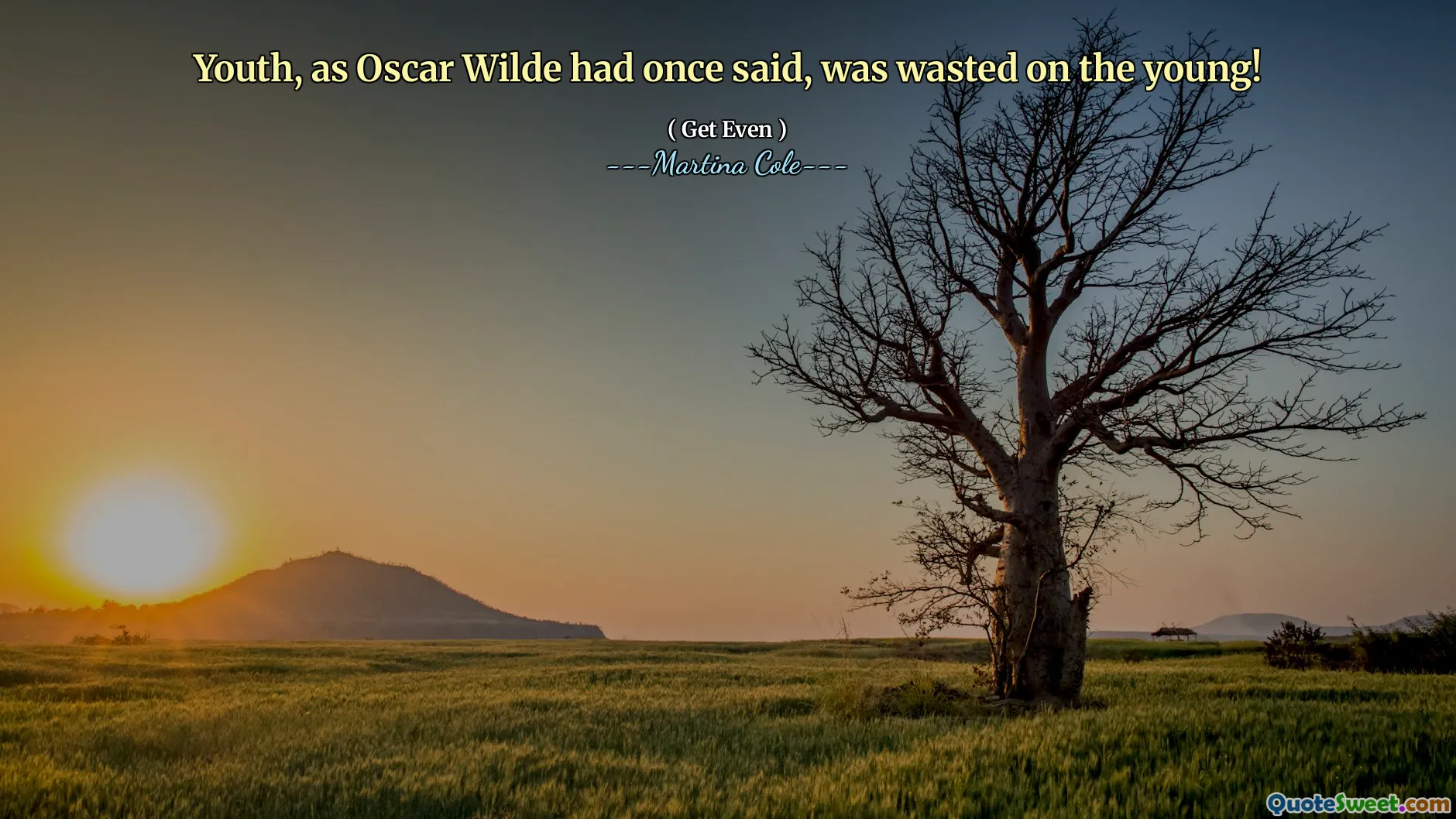 正如奥斯卡·王尔德（Oscar Wilde）曾经说过的那样，年轻人被浪费在年轻人身上！