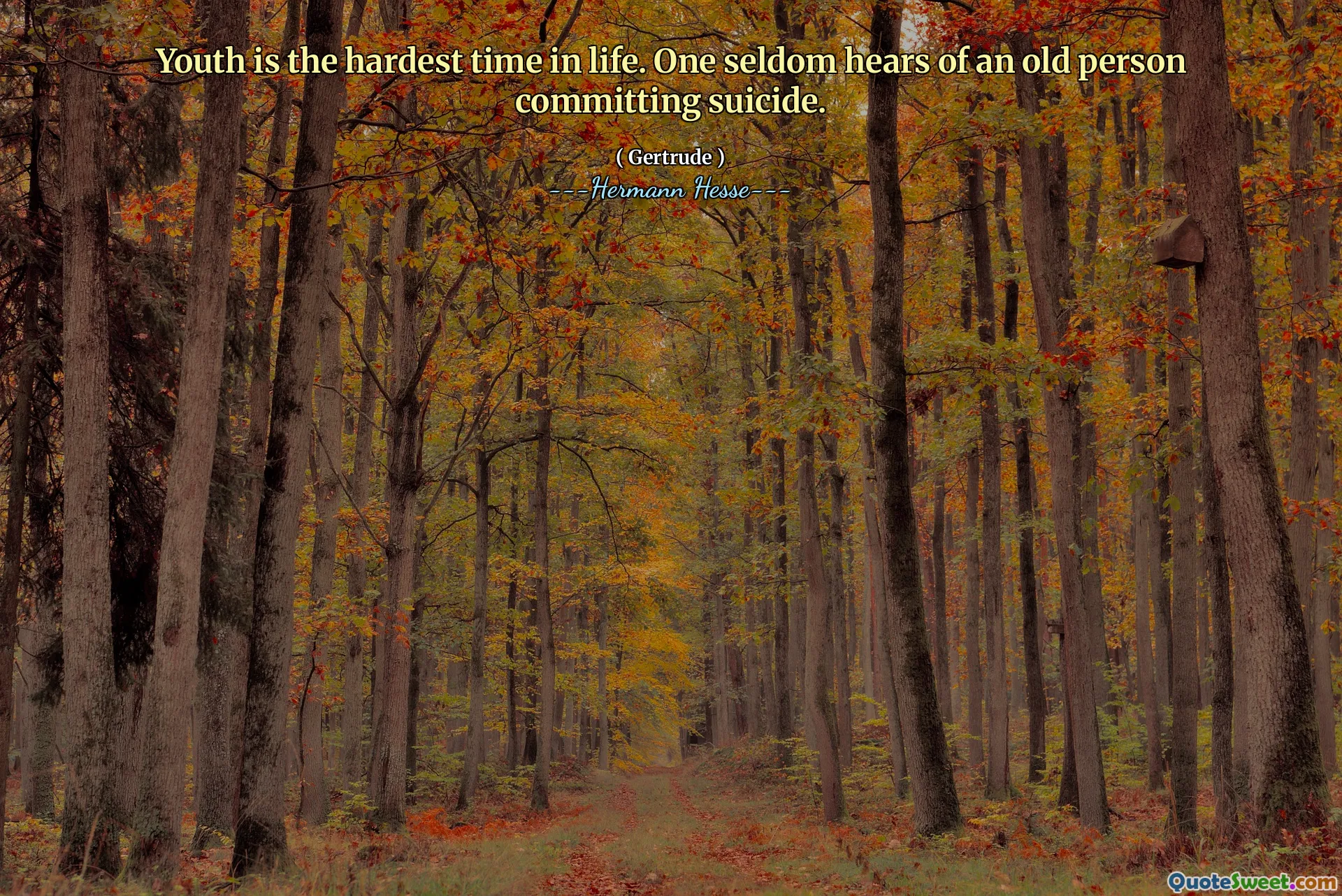 Youth is the hardest time in life. One seldom hears of an old person committing suicide.