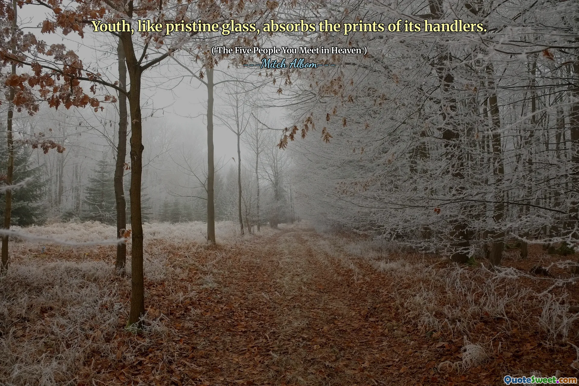 ახალგაზრდობა, როგორც ხელუხლებელი შუშის მსგავსად, შთანთქავს მისი გამტაცებლების ანაბეჭდებს.