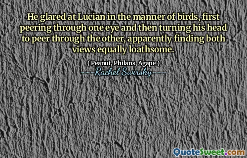 He glared at Lucian in the manner of birds, first peering through one eye and then turning his head to peer through the other, apparently finding both views equally loathsome.