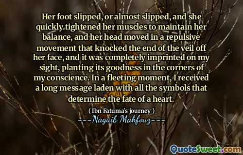 그녀의 발이 미끄러 져 나갔거나 거의 미끄러 져서 그녀의 균형을 유지하기 위해 근육을 빨리 강화했고, 그녀의 머리는 베일의 끝을 그녀의 얼굴에서 벗겨내는 반발적인 움직임으로 움직였으며, 그것은 내 시야에 완전히 각인되어 내 양심의 구석에 선을 심었습니다. 한 순간에, 나는 마음의 운명을 결정하는 모든 상징을 가진 긴 메시지를 받았습니다.