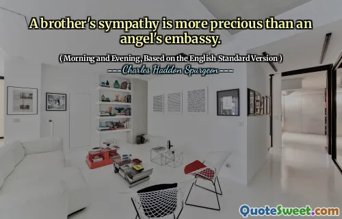 A brother's sympathy is more precious than an angel's embassy.