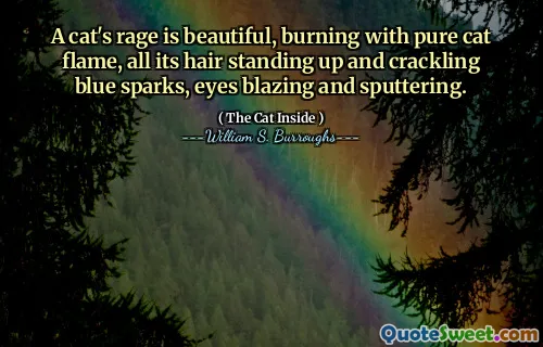 猫的愤怒很美，用纯猫火焰燃烧，所有的头发都站起来，crack着蓝色的火花，眼睛闪闪发光和溅射。