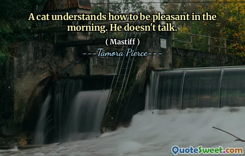 A cat understands how to be pleasant in the morning. He doesn't talk.