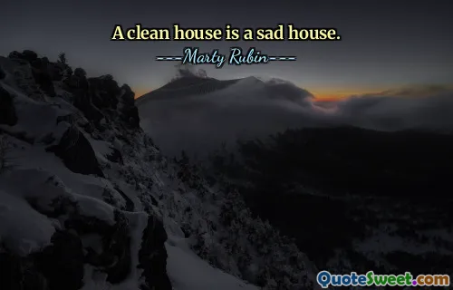 A clean house is a sad house.