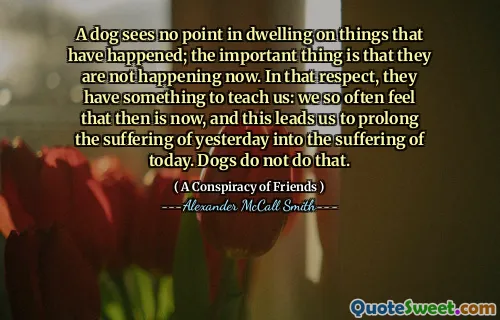 狗看不到发生的事情。重要的是它们现在没有发生。在这方面，他们有一些教会我们的东西：我们经常觉得当时是现在，这导致我们将昨天的痛苦延长到今天的苦难中。狗不这样做。