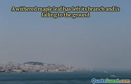 A withered maple leaf has left its branch and is falling to the ground