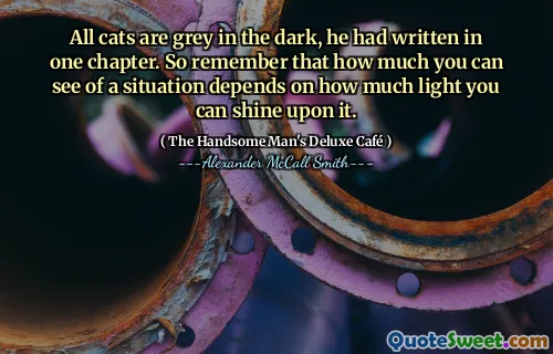 All cats are grey in the dark, he had written in one chapter. So remember that how much you can see of a situation depends on how much light you can shine upon it.