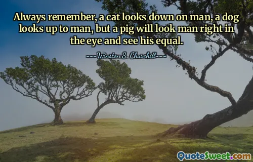 Always remember, a cat looks down on man, a dog looks up to man, but a pig will look man right in the eye and see his equal.