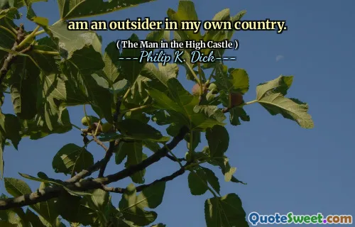 是我自己国家的局外人。