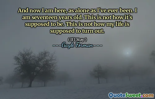 And now I am here, as alone as I've ever been. I am seventeen years old. This is not how it's supposed to be. This is not how my life is supposed to turn out.