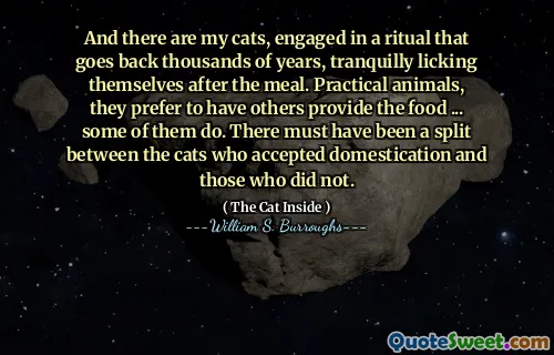 还有我的猫，进行了数千年的仪式，饭后骑着自己的猫。实用的动物，他们更喜欢让其他人提供食物……有些人会做。接受驯化的猫与那些没有的猫之间一定有分歧。