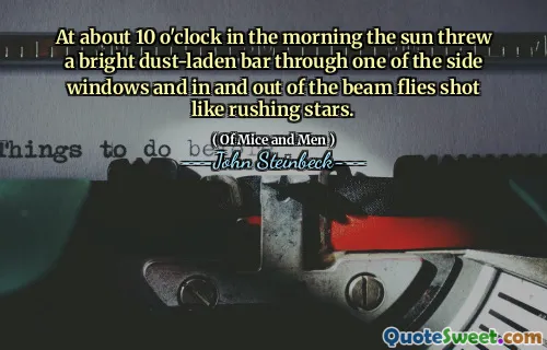 At about 10 o'clock in the morning the sun threw a bright dust-laden bar through one of the side windows and in and out of the beam flies shot like rushing stars.