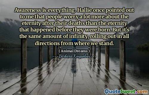 Awareness is everything. Hallie once pointed out to me that people worry a lot more about the eternity after their deaths than the eternity that happened before they were born. But it's the same amount of infinity, rolling out in all directions from where we stand.