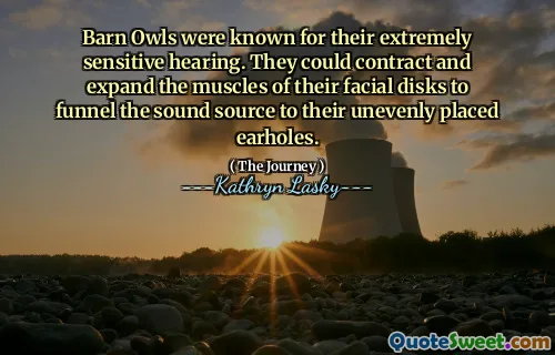 Barn Owls were known for their extremely sensitive hearing. They could contract and expand the muscles of their facial disks to funnel the sound source to their unevenly placed earholes.