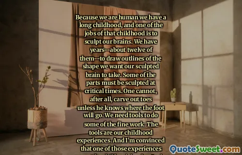 Because we are human we have a long childhood, and one of the jobs of that childhood is to sculpt our brains. We have years--about twelve of them--to draw outlines of the shape we want our sculpted brain to take. Some of the parts must be sculpted at critical times. One cannot, after all, carve out toes unless he knows where the foot will go. We need tools to do some of the fine work. The tools are our childhood experiences. And I'm convinced that one of those experiences must be children's books. And they must be experienced within the early years of our long childhood.