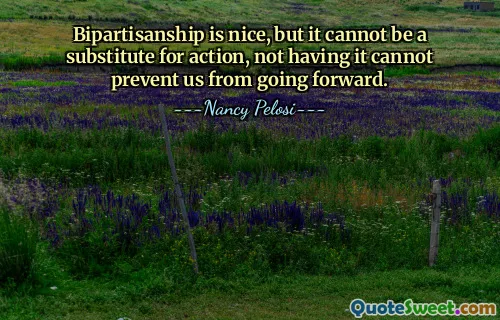Bipartisanship is nice, but it cannot be a substitute for action, not having it cannot prevent us from going forward.