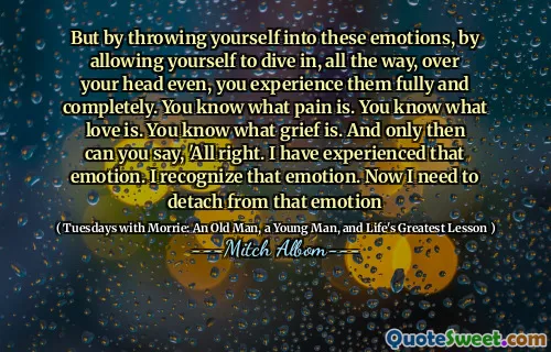 但是，通过使自己陷入这些情绪中，让自己一路深入，甚至可以全面地体验到它们。你知道痛苦是什么。你知道爱是什么。你知道什么是悲伤。只有这样，您才能说：“一切顺利。我经历了这种情绪。我认识到这种情绪。现在我需要脱离这种情绪