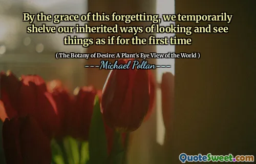 By the grace of this forgetting, we temporarily shelve our inherited ways of looking and see things as if for the first time