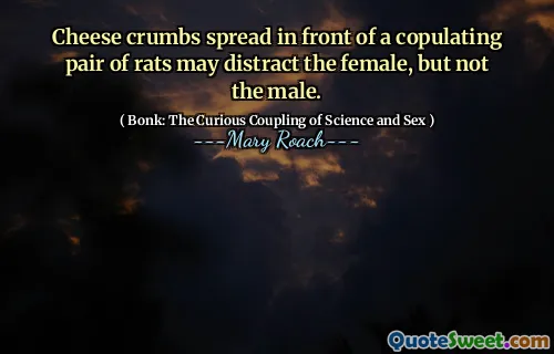 Cheese crumbs spread in front of a copulating pair of rats may distract the female, but not the male.