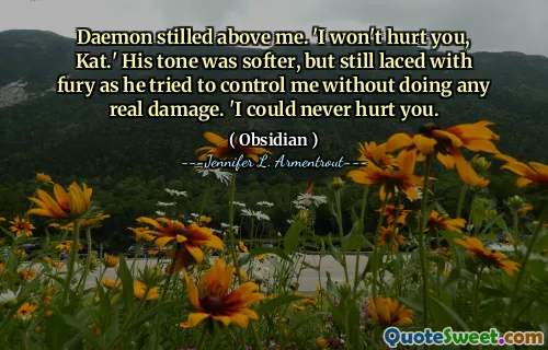 Daemon stilled above me. 'I won't hurt you, Kat.' His tone was softer, but still laced with fury as he tried to control me without doing any real damage. 'I could never hurt you.