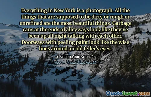Everything in New York is a photograph. All the things that are supposed to be dirty or rough or unrefined are the most beautiful things. Garbage cans at the ends of alleyways look like they've been up all night talking with each other. Doorways with peeling paint look like the wise lines around an old feller's eyes.