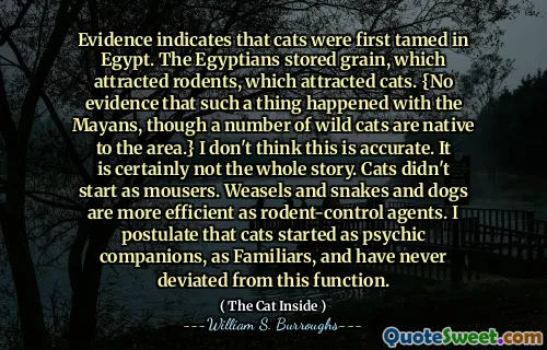 证据表明猫首先在埃及被驯服。埃及人存储的谷物吸引了啮齿动物，吸引了猫。 {没有证据表明玛雅人发生了这样的事情，尽管许多野猫是该地区的原生。}我认为这是不准确的。当然，这不是整个故事。猫并没有以慕斯的身​​份开始。作为啮齿动物对照剂，鼬鼠，蛇和狗更有效。我假设猫是作为熟悉的心理伴侣开始的，从未偏离此功能。