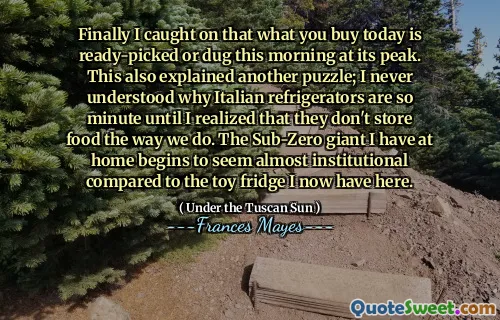 Finally I caught on that what you buy today is ready-picked or dug this morning at its peak. This also explained another puzzle; I never understood why Italian refrigerators are so minute until I realized that they don't store food the way we do. The Sub-Zero giant I have at home begins to seem almost institutional compared to the toy fridge I now have here.