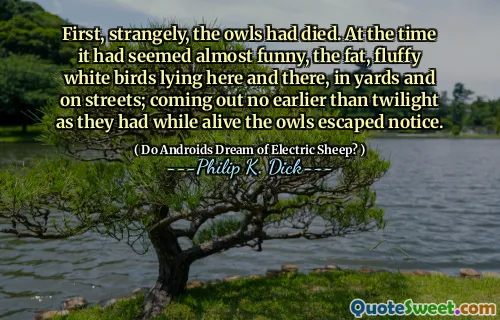 First, strangely, the owls had died. At the time it had seemed almost funny, the fat, fluffy white birds lying here and there, in yards and on streets; coming out no earlier than twilight as they had while alive the owls escaped notice.