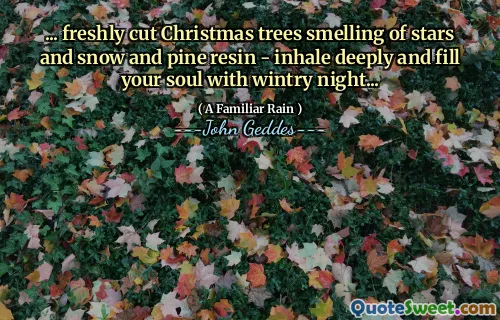 ... freshly cut Christmas trees smelling of stars and snow and pine resin - inhale deeply and fill your soul with wintry night...