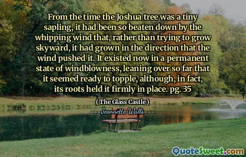 Från det att Joshua -trädet var en liten planta, hade det blivit så slagen av den piskande vinden att det, snarare än att försöka växa himmel, hade vuxit i riktningen att vinden pressade den. Det fanns nu i ett permanent tillstånd av vindblåsning, lutade sig så långt att det verkade redo att tippa, även om dess rötter faktiskt höll det fast på plats. pg. 35