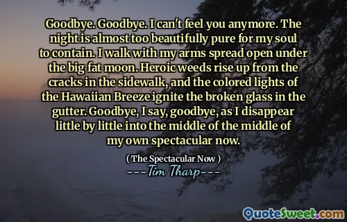 Goodbye. Goodbye. I can't feel you anymore. The night is almost too beautifully pure for my soul to contain. I walk with my arms spread open under the big fat moon. Heroic weeds rise up from the cracks in the sidewalk, and the colored lights of the Hawaiian Breeze ignite the broken glass in the gutter. Goodbye, I say, goodbye, as I disappear little by little into the middle of the middle of my own spectacular now.