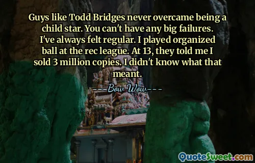 Guys like Todd Bridges never overcame being a child star. You can't have any big failures. I've always felt regular. I played organized ball at the rec league. At 13, they told me I sold 3 million copies. I didn't know what that meant.
