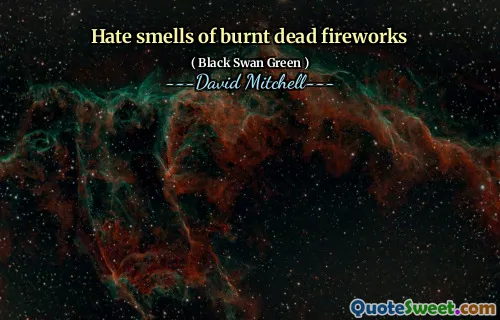 讨厌烧死的烟花的味道