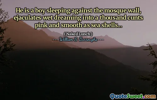 他是一个男孩，睡在清真寺的墙上，射精的梦想成千万粉红色，像贝壳一样光滑...