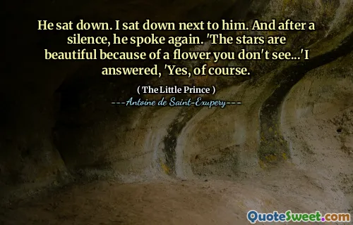He sat down. I sat down next to him. And after a silence, he spoke again. 'The stars are beautiful because of a flower you don't see...'I answered, 'Yes, of course.