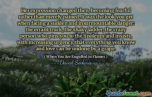 Her expression changed then, becoming fearful rather than merely pained. It was the look you get when facing a sudden and insurmountable danger: the errant truck, the shaky ladder, the crazy person who pins you to the linoleum and insists, with increasing urgency, that everything you know and love can be undone by a grape.