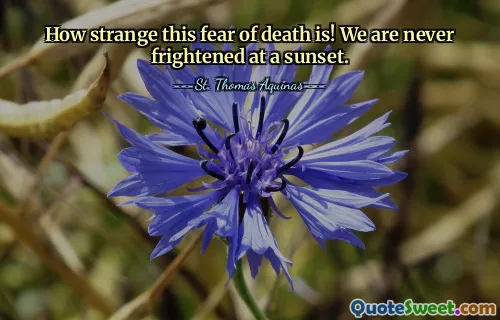 How strange this fear of death is! We are never frightened at a sunset.