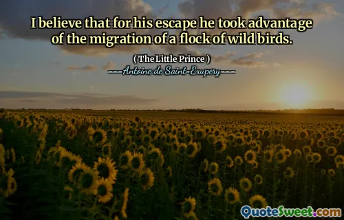 I believe that for his escape he took advantage of the migration of a flock of wild birds.