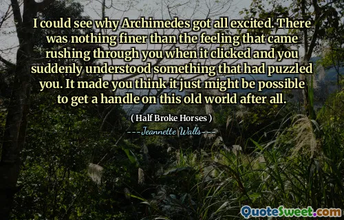 我明白了为什么阿基米德都感到兴奋。没有什么比当您点击时冲过您的感觉更美好了，您突然了解了一些困惑的东西。这使您认为毕竟可以解决这个旧世界。