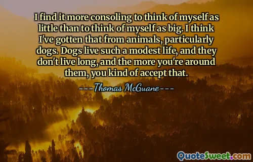 I find it more consoling to think of myself as little than to think of myself as big. I think I've gotten that from animals, particularly dogs. Dogs live such a modest life, and they don't live long, and the more you're around them, you kind of accept that.