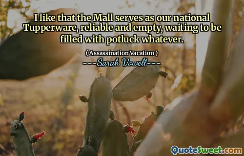 I like that the Mall serves as our national Tupperware, reliable and empty, waiting to be filled with potluck whatever.