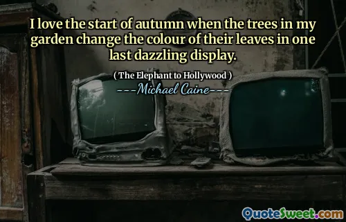 I love the start of autumn when the trees in my garden change the colour of their leaves in one last dazzling display.