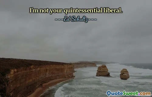 I'm not your quintessential liberal.