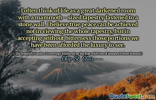I often think of life as a great darkened room with a mammoth - sized tapestry fastened to a stone wall. I believe true peace can be achieved not in viewing the whole tapestry, but in accepting without bitterness those portions we have been afforded the luxury to see.