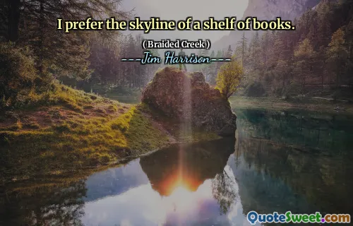 I prefer the skyline of a shelf of books.