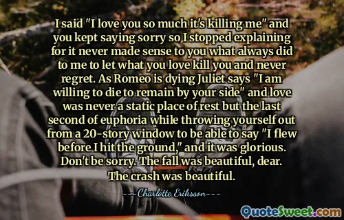 I said "I love you so much it's killing me" and you kept saying sorry so I stopped explaining for it never made sense to you what always did to me to let what you love kill you and never regret. As Romeo is dying Juliet says "I am willing to die to remain by your side" and love was never a static place of rest but the last second of euphoria while throwing yourself out from a 20-story window to be able to say "I flew before I hit the ground," and it was glorious. Don't be sorry. The fall was beautiful, dear. The crash was beautiful.